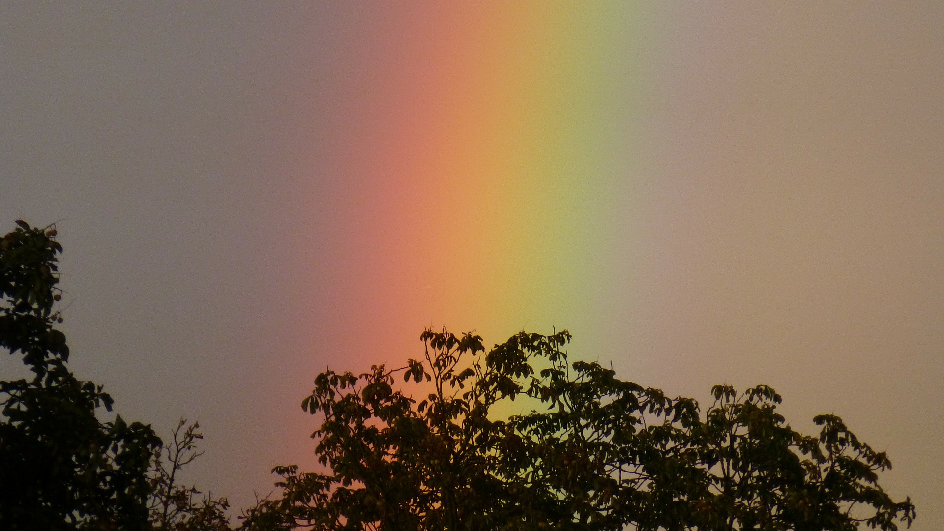 rainbow-59138_1920